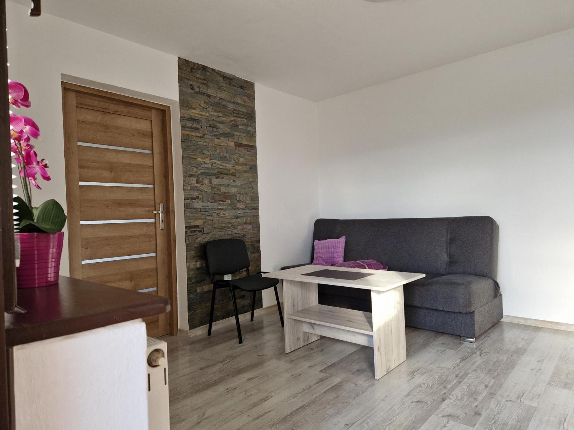 Apartamenty U Krystyny Klikuszowa 部屋 写真